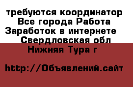 требуются координатор - Все города Работа » Заработок в интернете   . Свердловская обл.,Нижняя Тура г.